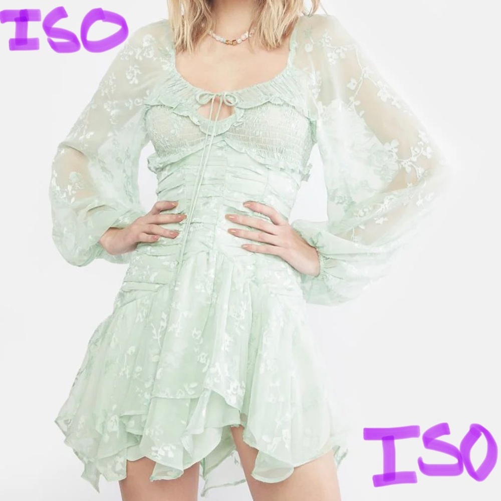 In Search of For Love and Lemons Breanne Mini Dress